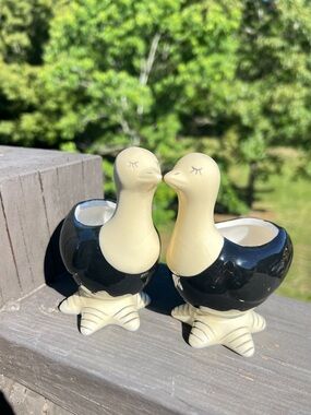 Cottage Ceramic Duck Planter Set Black White Bird Pots Succulent Planters New